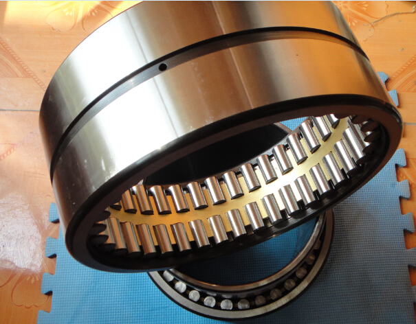 Double-row Cylindrical roller bearing