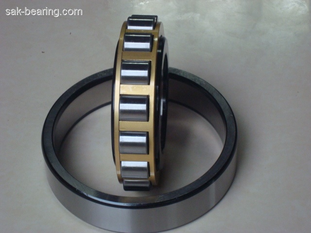 Single row cylindrical roller bearing