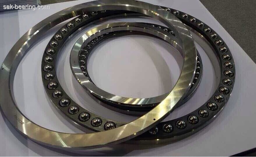 Excavator bearing