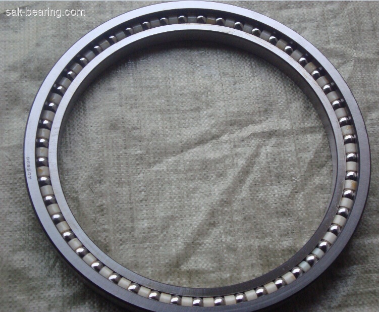 Excavator bearing